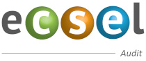 logo ecsel audit